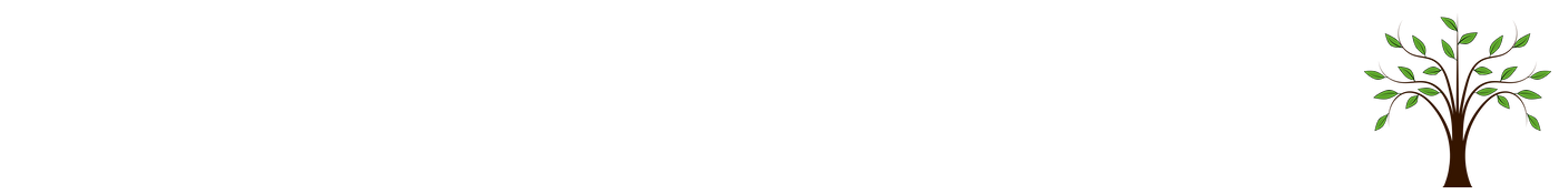 The Essential Cremation Co